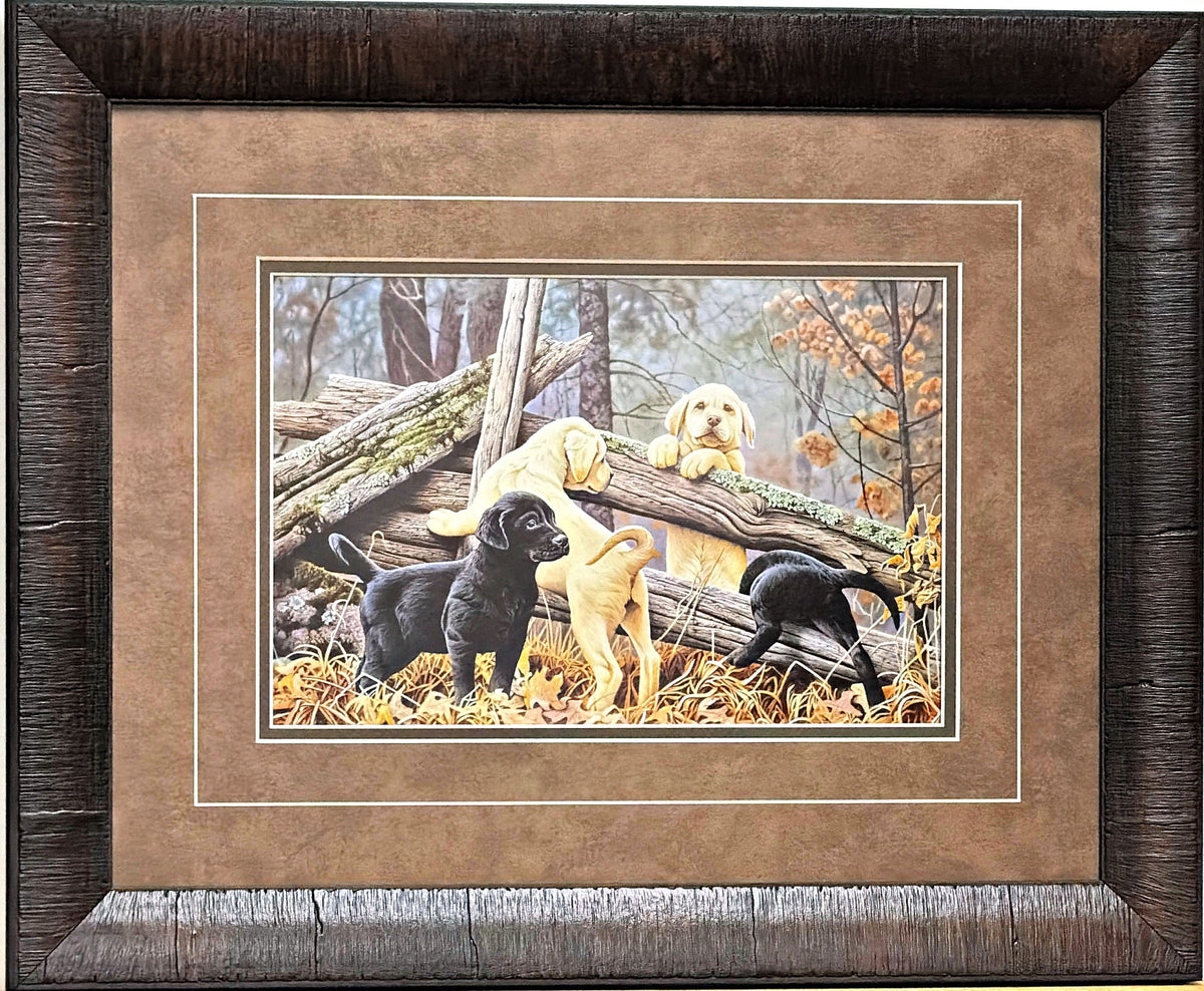 Jerry Gadamus Little Rascals Lab Puppies -Framed
