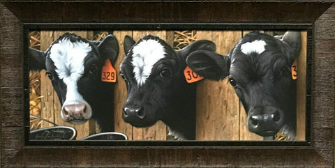 Jerry Gadamus More Milk Please-Cow Art Print Framed 28.5 x 14.5