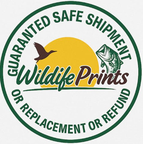 Jerry Gadamus Paper Chase Chickadee and snow decor Art Print-Framed 17.5 x 22.5