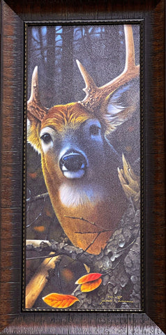 Jerry Gadamus Peek A Boo Buck Deer Art Print-Framed 14 x 28