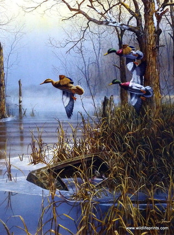Jim Hansel After The Thaw - 12"x16" Open Edition - 12"x16" Open Edition