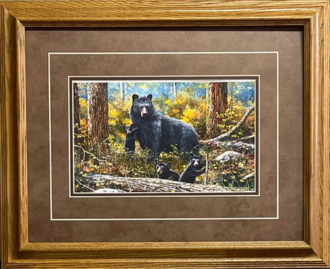Jim Hansel Age Of Wonder- Framed - 21"x17" Open Edition - 21"x17" Open Edition