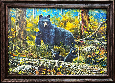 Jim Hansel Age of Wonder S/N Bear and cub Art Print-Framed 32 x 23