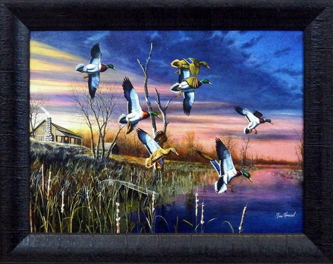 Jim Hansel  Final Approach Mallard Duck Studio Canvas Framed Print- 19" x 15"