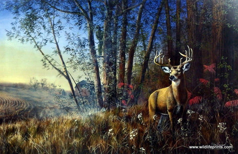 Jim Hansel Misty Morning - 29"x 19" Signed & Numbered