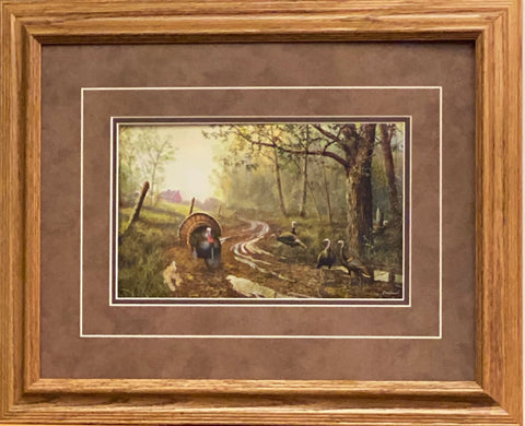 Jim Hansel Spring Fever Wild Turkey  Framed Print   21 x 17