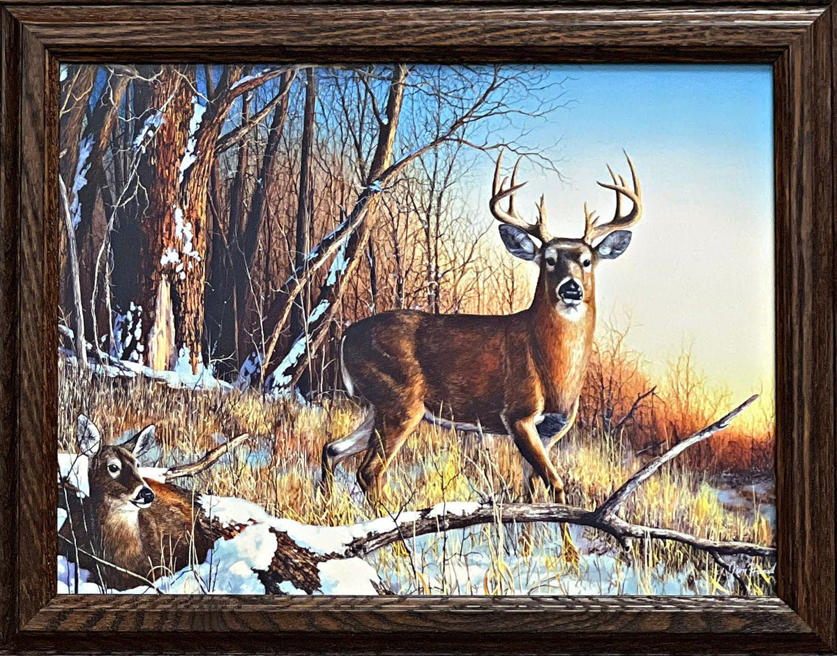 Jim Hansel Standing Guard Deer Buck Framed-Canvas Art Print