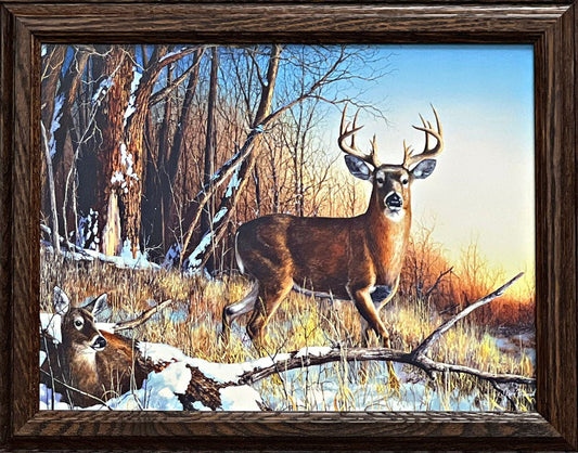Jim Hansel Standing Guard Deer Buck Framed-Canvas Art Print