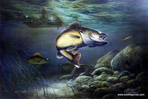 Jim Hansel Taking the Bait - 12"x 7.75" Open Edition