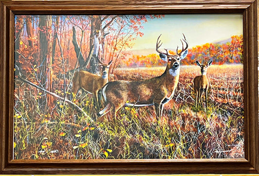 Jim Hansel The Gathering