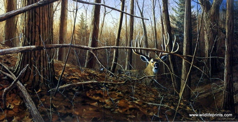 Jim Hansel Under Cover - 33"x 17" Open Edition