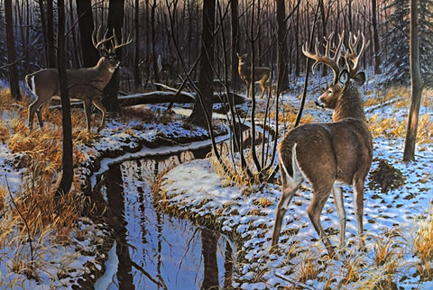 Jim Kasper MDHA Whitetail Deer Art Print Classic Challenge S/N 24"x16.25"