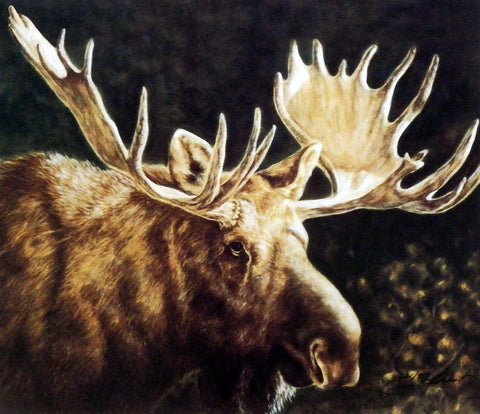 Judi Rideout Alaskan Monarch - 14"x12" Signed Edition