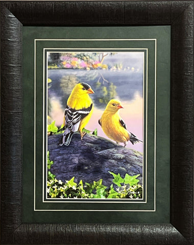 Kim Norlien Gold FInches Art Print-Framed 15 x 19