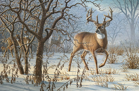 Larry Zach Winter Sunrise Whitetail Deer S/N Art Print 23 x 15.25