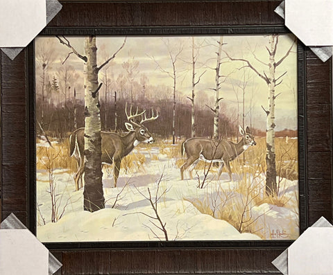 Les Kouba Back Birch Buck Art Print-Framed 24 x 20