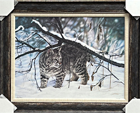 Lesley Harrison Bobcat S/N Art Print-Framed 30.5 x 24.5