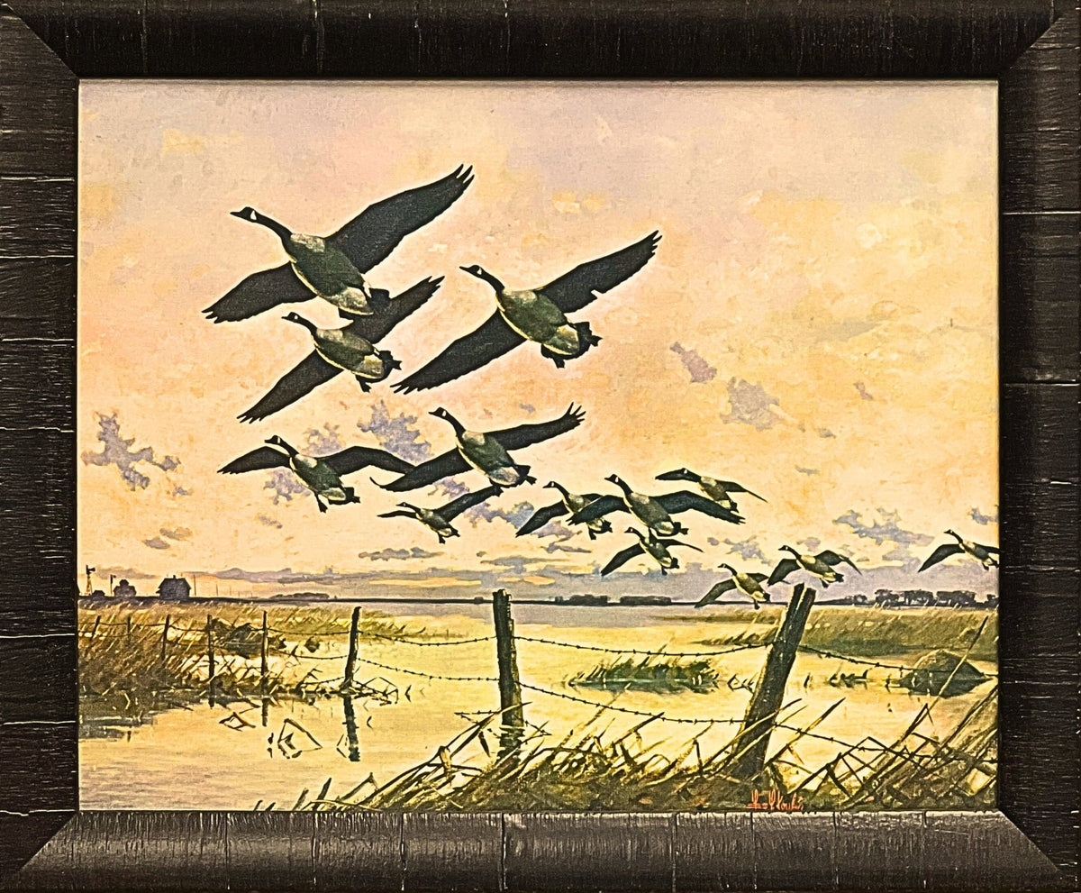Lles Kouba Framed Waterfowl Art Print Canada Geese 23x19