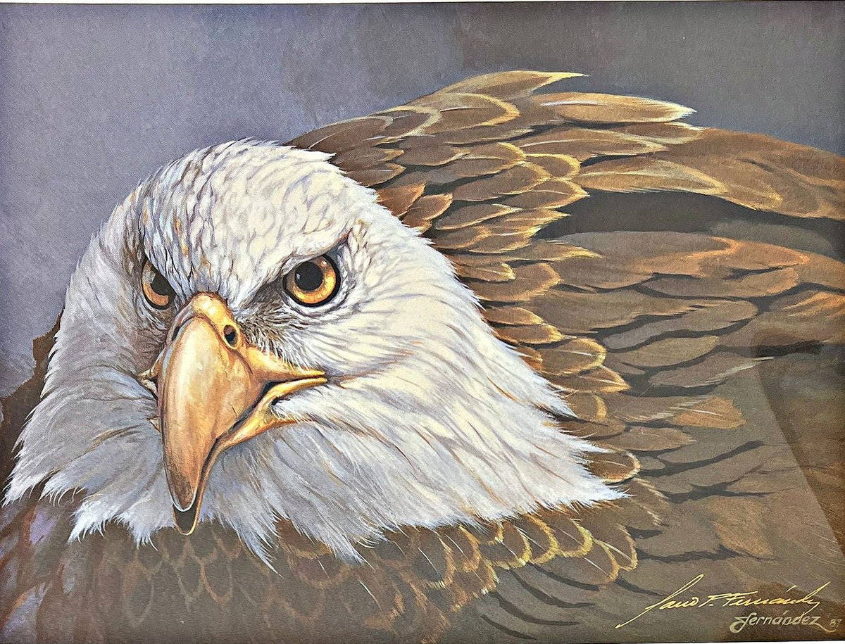 Mario Fernandez Gold Signature Eagle Print I to Eye 10"x7.5"