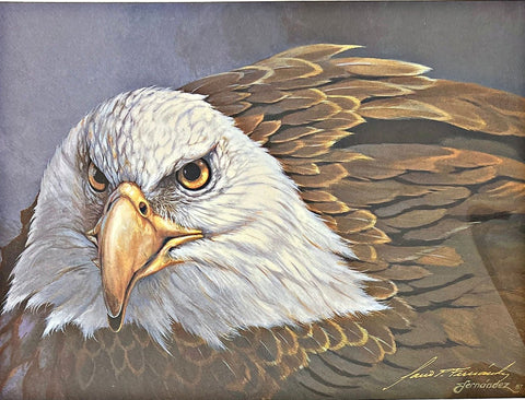 Mario Fernandez Gold Signature Eagle Print I to Eye 10"x7.5"