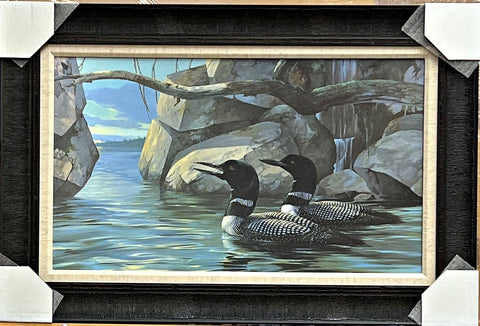 Mario Fernandez The Call of the North Loon Art Print-Framed 30.5 x 20