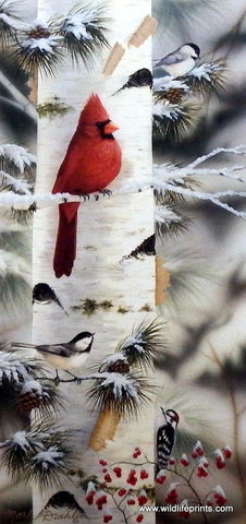 Mark Daehlin Feathered Friends I - 9"x 19"- Open Edition