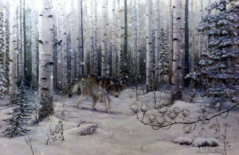 Mark Daehlin Watched - 21.5"x 13.5" Signed & Numbered Wolve Art Print