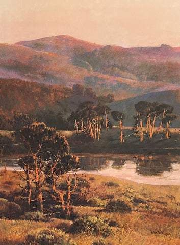 Martha Borge Bishop Pines At Grossi pond Signed Art Print 20 x 24-FREE SHIPPING
