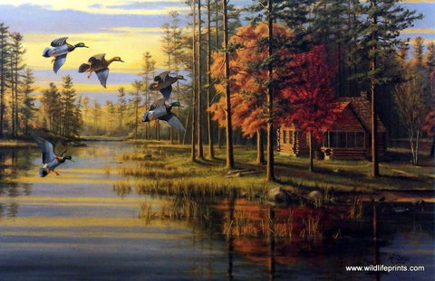 Mary Pettis Autumn Glow - 20.75"x13.5" Open Edition