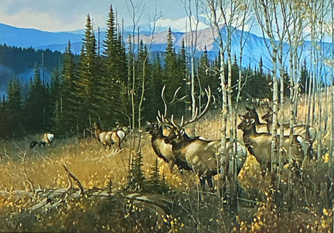 Michael Sieve Alpine meadow S/N Elk art print #7 of 850
