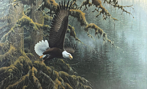 Michael Sieve Art Print Misty Forest-Bald Eagle S/N 29"x18"