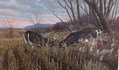 Michael Sieve Battling Bulls Whitetail Deer S/N Art Print 27.5 x 17