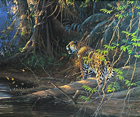 Michael Sieve Big Cat Art Print River Heat-Jaguar S/N 25"x16.5"