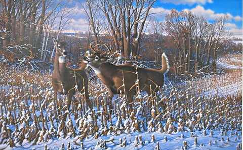 Michael Sieve Oak Ridge Monarch-Whitetail S/N Art Print 25 x 15.5