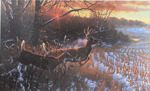Michael Sieve Red Alert-Whitetail Deer S/N Art Print 27.5 x 17