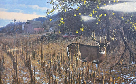 Michael Sieve Whitetail Deer Art Print Scrapeline Buck S/N 28"x17"