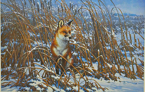 Michael Sieve Wildlife Art Print Cattail Swamp-Red Fox S/N 25"x16.5"