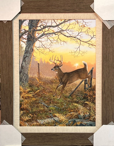 Persis Clayton Weirs Morning Buck Canvas Art Print-Framed 18.75 x 24