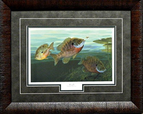 Randy McGovern Bluegills-Framed