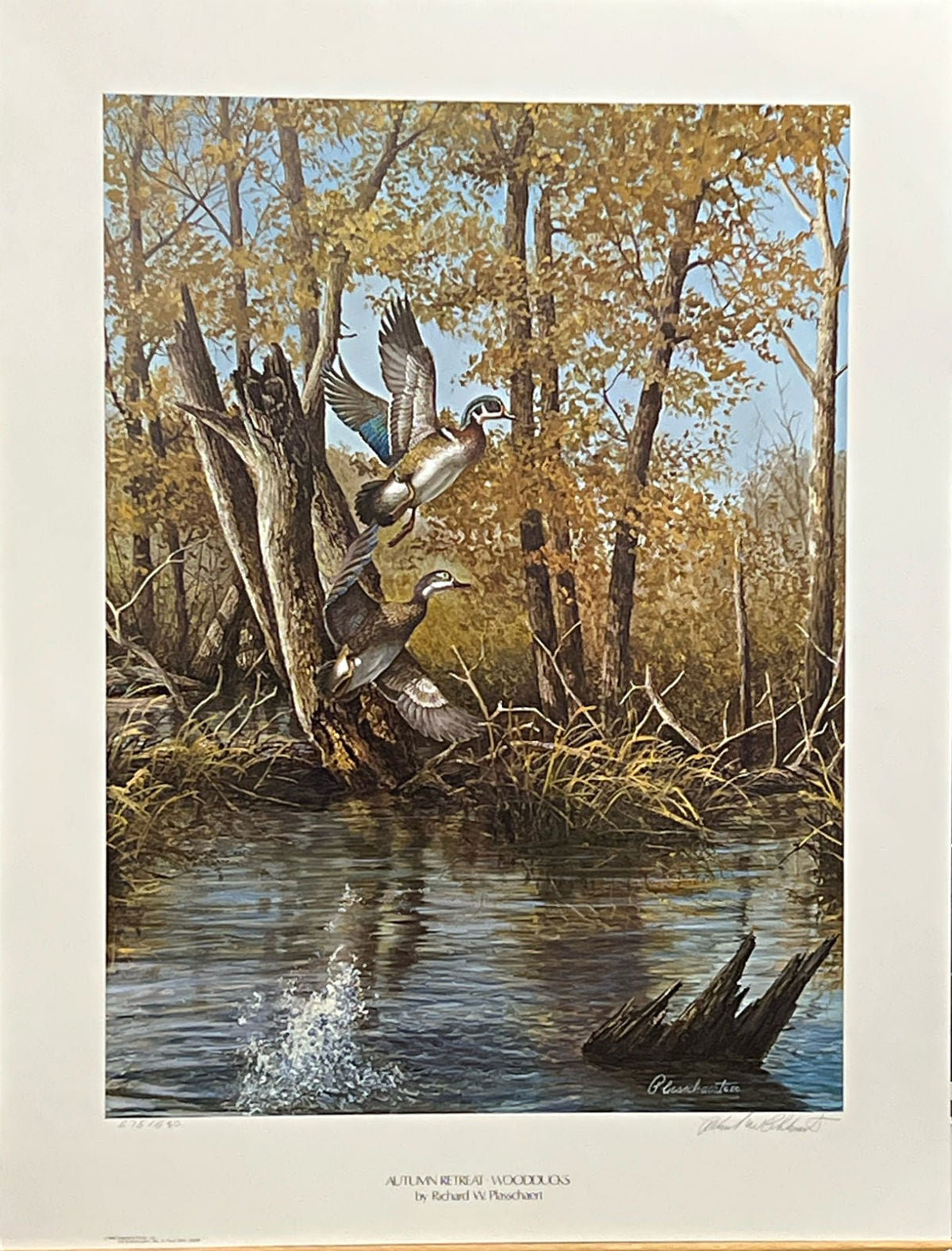 Richard Plasschaert Autumn Retreat Wood Ducks S/N Art Print 17 x 23.5