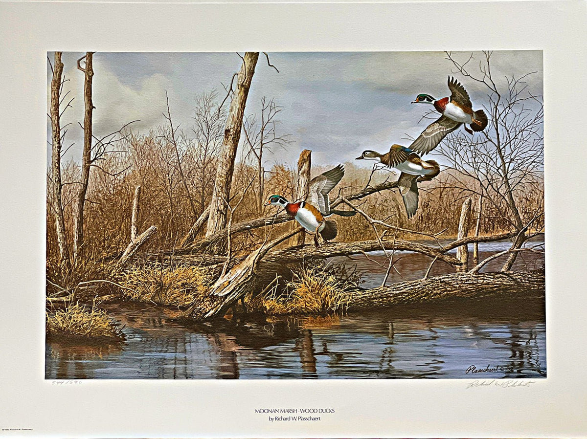 Richard Plasschaert Moonan Marsh Wood Ducks S/N Art Print 25 x 16.5