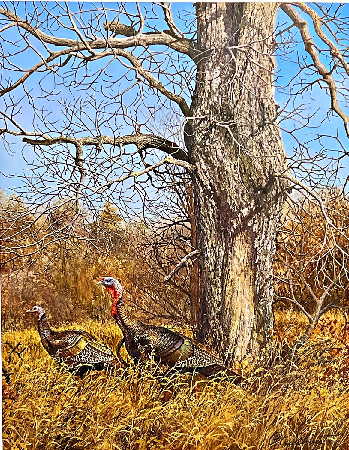 Richard Plasschaert Tranquil Autumn Day Turkey S/N art Print 18 x 23