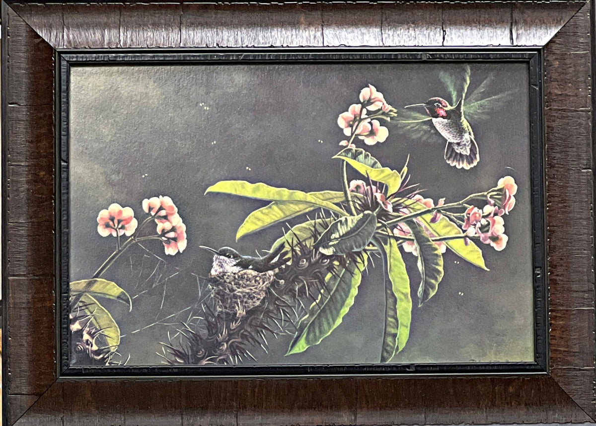 Robert Copple Framed Hummingbird Art Print The Promise of Spring (18.75"x13.75")