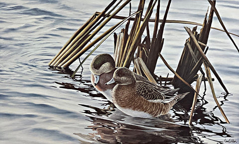 Ron Van Gilder First Light Widgeons Duck S/N Art Print 25 x 15