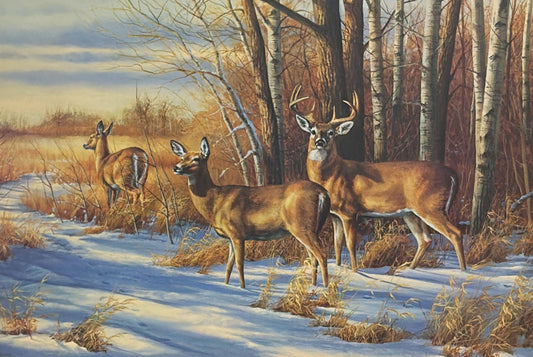 Rosemary Millette S/N Whitetail Deer Art Print Evening Passage 24"x16"