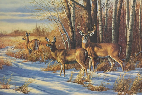 Rosemary Millette S/N Whitetail Deer Art Print Evening Passage 24"x16"