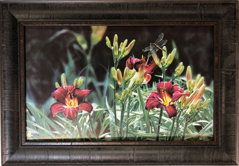 Russell Cobane Framed Dragonfly Day Lily Flower Art Print Summer Flight (19x13)