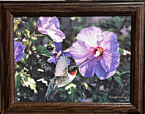 Russell Cobane Hummin Along Hummingbird Art Print-Framed 14.5 x 11.5