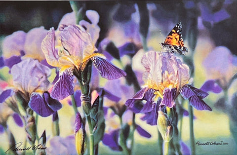 Russell Cobane Monarch Butterfly on Iris Flower Sweet Landing S/O (15.75x10.5)