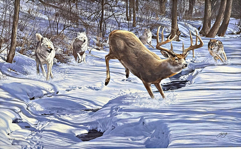 Scot Storm The chase is on-Whitetail Deer and Wolves S/N Art Print